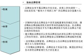 橫向品牌管理 超越傳統縱向模式，以攝像及制作服務為例