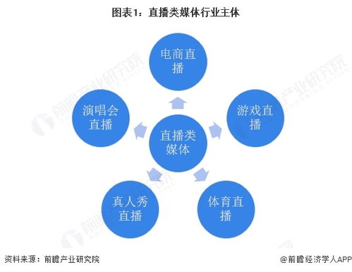 2025年中國傳媒行業(yè)細(xì)分市場(chǎng)分析 技術(shù)賦能與垂類深耕驅(qū)動(dòng)下的網(wǎng)絡(luò)技術(shù)開發(fā)生態(tài)